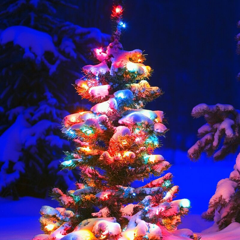 Purple Grinch-themed string lights glowing on a dark background